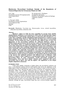 Blueberries Mycorrhizal Symbiosis Outside of the Boundaries of