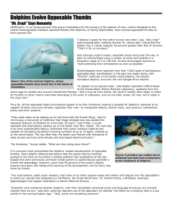 Dolphins Evolve Opposable Thumbs