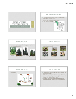 northwestern coniferous forest