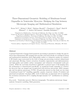 Three-Dimensional Geometric Modeling of Membrane