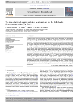 The importance of carcass volatiles as attractants for the hide beetle