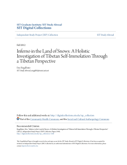 Inferno in the Land of Snows: A Holistic