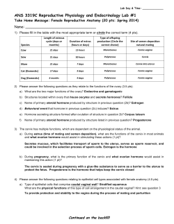Female Anatomy Key - UF Animal Science