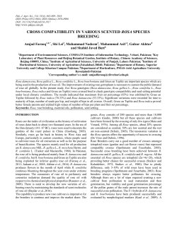 estimation of total factor productivity growth in agriculture sector in