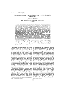 microsaurs and the origin of captorhinomorph reptiles