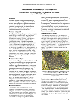 Management of novel-endophyte ryegrass pastures