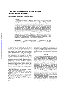 The Two Components of the Human Atria I Action Potential