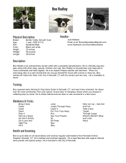 Boo Radley - WordPress.com