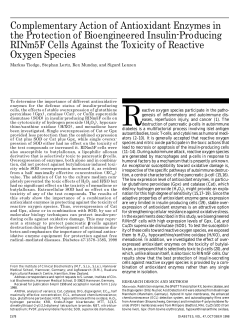 Complementary Action of Antioxidant Enzymes in the Protection of