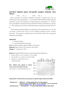 Anti-SLA (haploid sperm cell aploid sperm cell aploid sperm cell