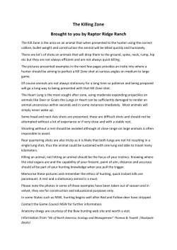 Killing zones - Raptor Ridge Ranch