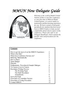 MMUN New Delegate Guide