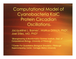Computational Model of p Cyanobacteria KaiC P t i Ci di p