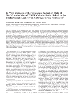 In Vivo Changes of the Oxidation-Reduction State of NADP and of