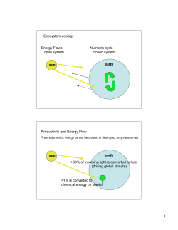 productivity I, on Earth Day