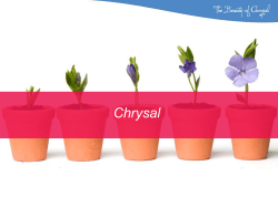 Roy Bouhuis en Rolf Timmerman, Chrysal International