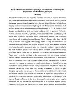 Use of arboreal and terrestrial space by a small mammal community