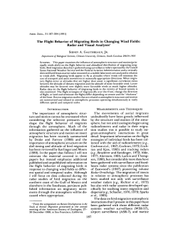 The Flight Behavior of Migrating Birds in Changing Wind Fields