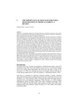 2 THE IMPORTANCE OF SEED MASS FOR EARLY