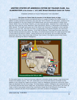 UNITED STATES OF AMERICA COTON DE TULEAR CLUB. Inc.