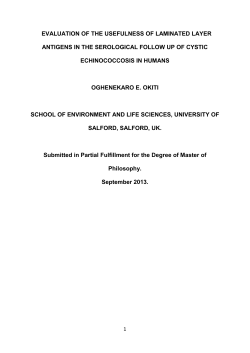 EVALUATION OF THE USEFULNESS OF LAMINATED LAYER