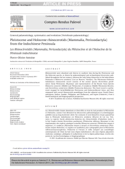 here - Rhino Resource Center