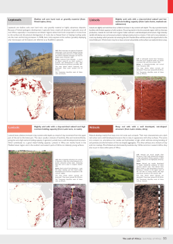 Leptosols Lixisols Luvisols Nitisols