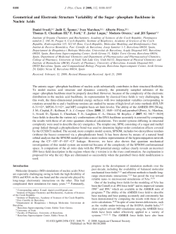 Geometrical and Electronic Structure Variability of the Sugar