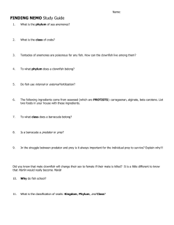 FINDING NEMO Study Guide