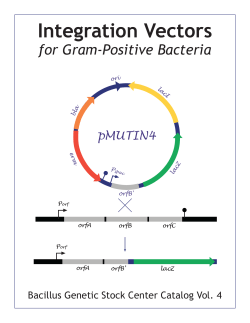 Integration Vectors - Bacillus Genetic Stock Center