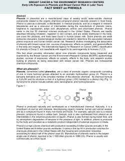 Phenols - Zero Breast Cancer