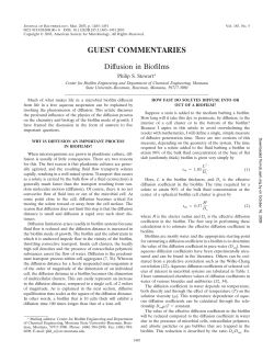 Diffusion in Bioﬁlms