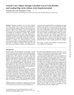 Growth Cone Collapse through Coincident Loss of Actin Bundles