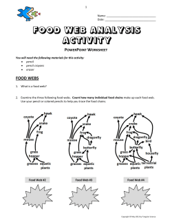 FOOD WEBS - Springtown ISD