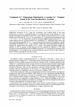 Cytoplasmic Ca2+ Homeostasis Maintained by a