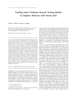 Feeding under Predation Hazard: Testing Models of Adaptive