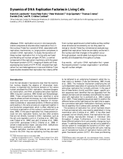 Dynamics of DNA Replication Factories in Living Cells