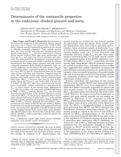 Determinants of the contractile properties in the embryonic chicken