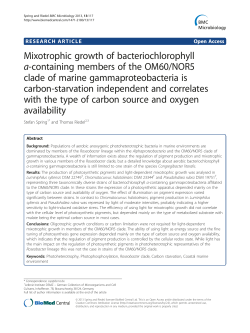 Mixotrophic growth of bacteriochlorophylla
