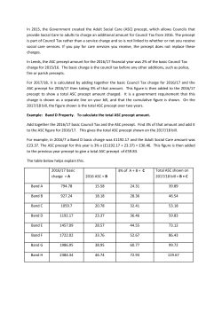 Adult Social Care precept explanation
