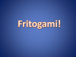 Fritogami Constitution Govt. Review Booklet