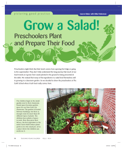 Grow a Salad!