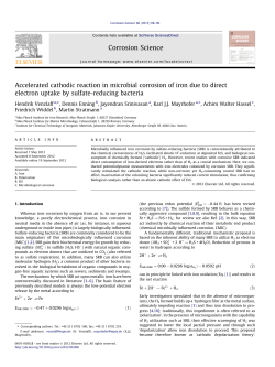 Accelerated cathodic reaction in microbial corrosion of iron