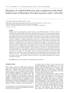Dynamics of a clinal hybrid zone and a comparison with island