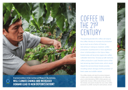 COFFEE IN THE 21ST CENTURY - Conservation International