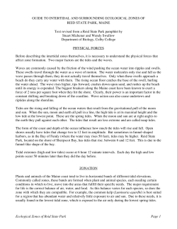 guide to intertidal and surrounding