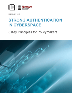 strong authentication in cyberspace