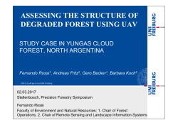 assessing the structure of degraded forest using uav