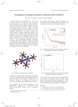 Investigation of hydrogen dynamics in hydroxyl salts Co2(OD)3Cl