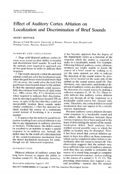 Effect of Auditory Cortex Ablation on Localization and